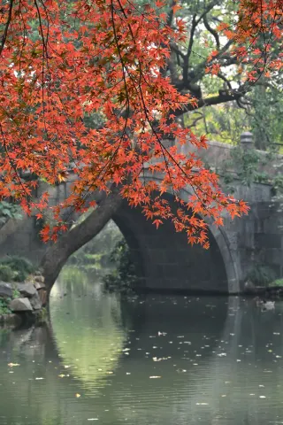 Hangzhou Autumn 24-Hour Golden Route｜Tested on 12.01