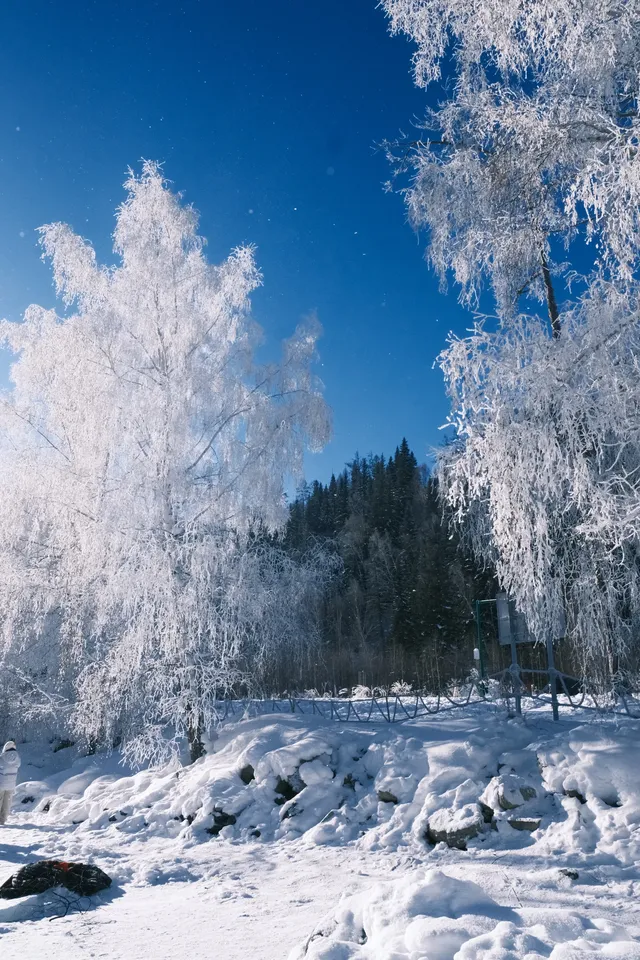 喀納斯冬日夢境|12月闖入冰封童話秘境 喀納斯冬日夢境|12月闖入冰封童話秘境