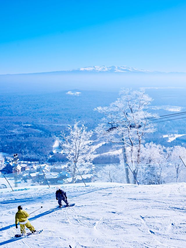 住進滑雪場裡!在長白山實現滑雪+撸寵自由 住進滑雪場裡!在長白山實現滑雪+撸寵自由