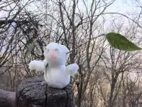 南五臺山保姆級攻略(11.23實拍)