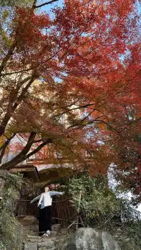 莫干山紅葉進度
