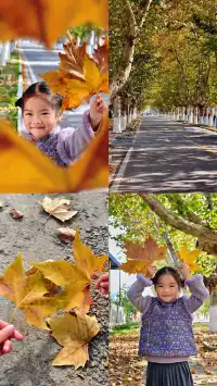 99%的人都不知道的江北賞秋路線~