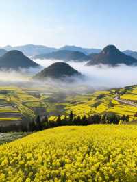 油菜花海拍照指南