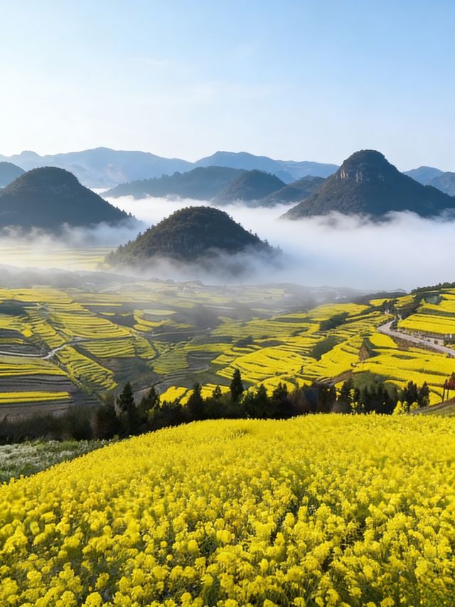 油菜花海拍照指南 油菜花海拍照指南