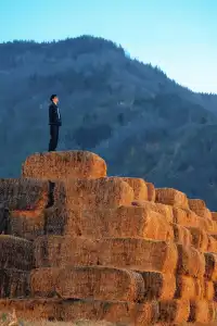 鄭州的初冬,遠山草垛,溫暖成了一幅畫!