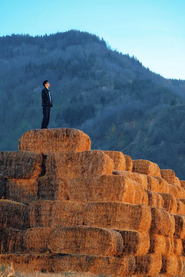 鄭州的初冬,遠山草垛,溫暖成了一幅畫! 鄭州的初冬,遠山草垛,溫暖成了一幅畫!