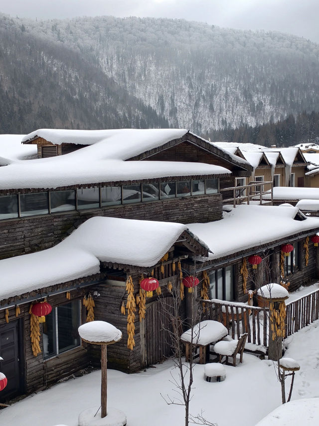 吉林5日遊這篇攻略直接封神