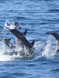 皮皮島遊艇出海這樣玩一天,才算沒白來!