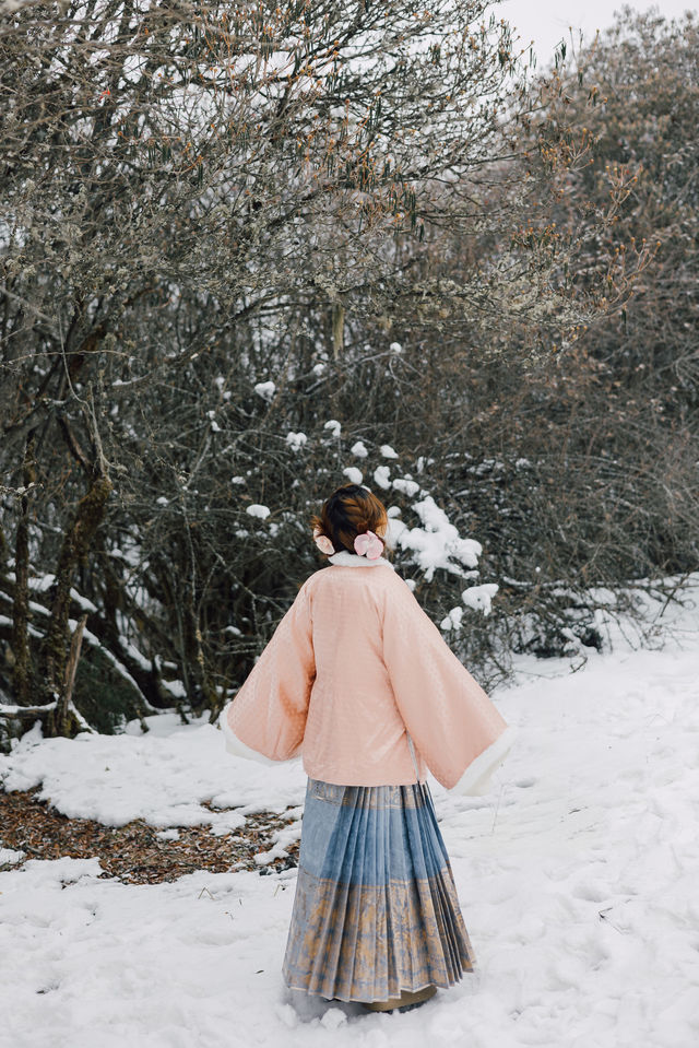 汶川雲端溫泉民宿,承包我們的四季美好 汶川雲端溫泉民宿,承包我們的四季美好