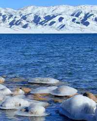 冬日賽里木湖一日遊，極致性價比攻略來啦
