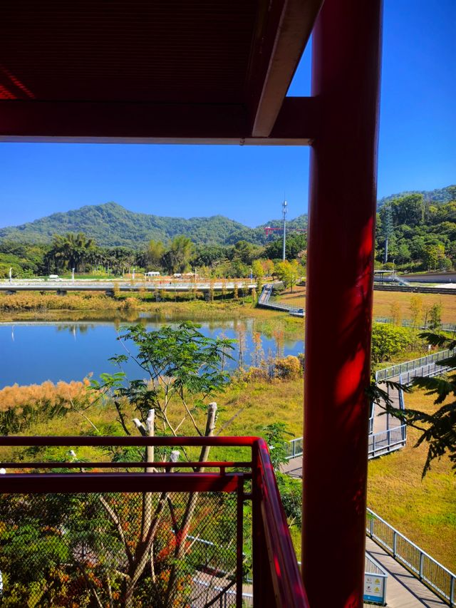 為什麼深圳人總在朋友圈曬這座虹橋？