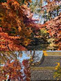 常熟已回，真不建議12月去，太香了