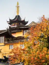 南京2天1晚 丨超詳細賞秋寶藏路線