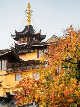 Nanjing 2 Days 1 Night | Super Detailed Autumn Treasure Route