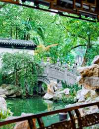 合肥私藏City walk路線 暢行霸都