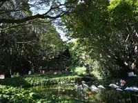 滇池邊的冬日限定浪漫！雲南民族村觀鷗全