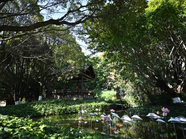 滇池邊的冬日限定浪漫！雲南民族村觀鷗全