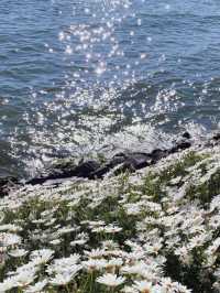 大理雙廊封神民宿！住進莫奈的洱海花園