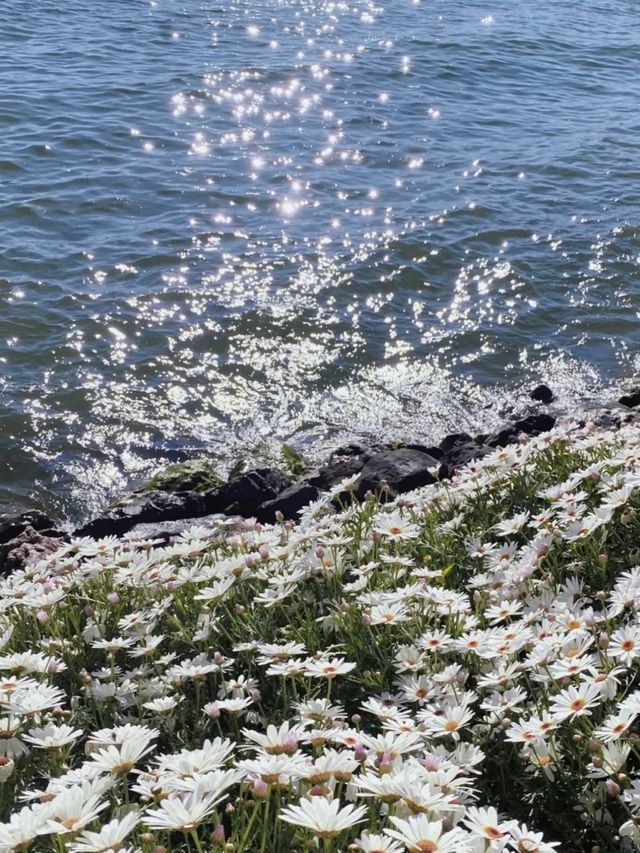 大理雙廊封神民宿！住進莫奈的洱海花園
