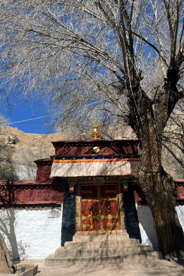 西藏day3|色拉寺 ·冬日拉薩鮮活的午後 西藏day3|色拉寺 ·冬日拉薩鮮活的午後