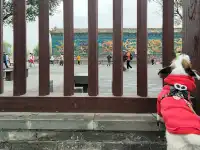 景點小評測——大同古城