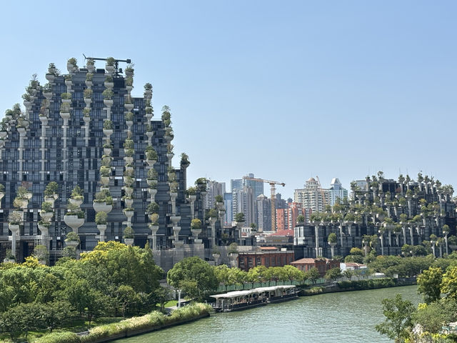 無懼秋老虎,打卡「千樹」之城,歷史的變遷,不定期更新 無懼秋老虎,打卡「千樹」之城,歷史的變遷,不定期更新