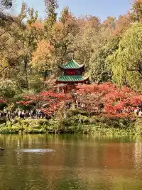 長沙賞秋超全攻略|看萬山紅遍,層林盡染