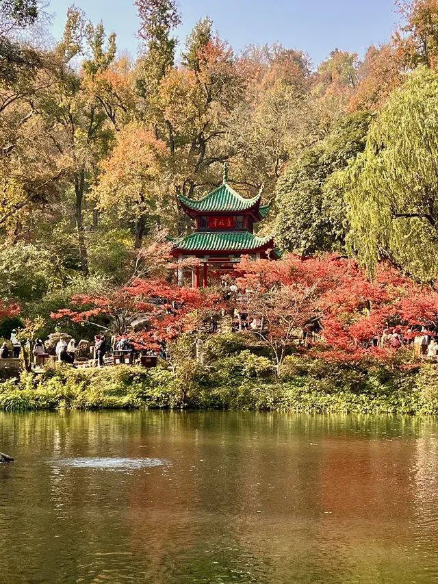 長沙賞秋超全攻略|看萬山紅遍,層林盡染 長沙賞秋超全攻略|看萬山紅遍,層林盡染