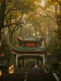 嶽麓山親子楓景線!帶娃沉浸式感受秋日詩意