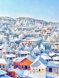 南方人看雪天花板!廬山雪景霧淞保姆級攻略