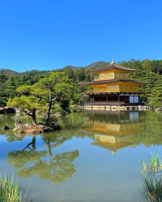 โปรโมชั่นพิเศษช่วงฤดูใบไม้ผลิ: สวดมนต์ที่วัดคัตสึโอะจิ + ชมดอกซากุระบานที่อาราชิยามะ + ชมดอกไม้ที่วัดคินคาคุจิ