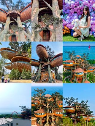 쌍원 중 선택하여 마음껏 즐기기 + 여행 촬영 서비스 제공, 일조 센보 3일 2박 가치