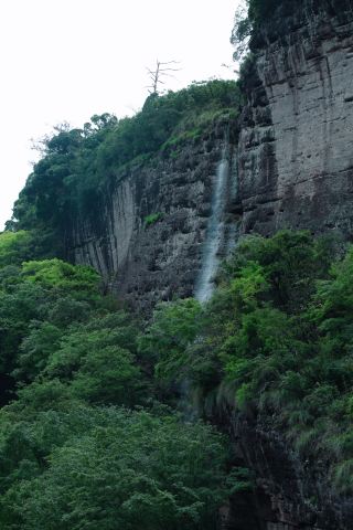Lost in the Spring Tea Realm of Wuyi | Keep This Rock Tea Guide Safe