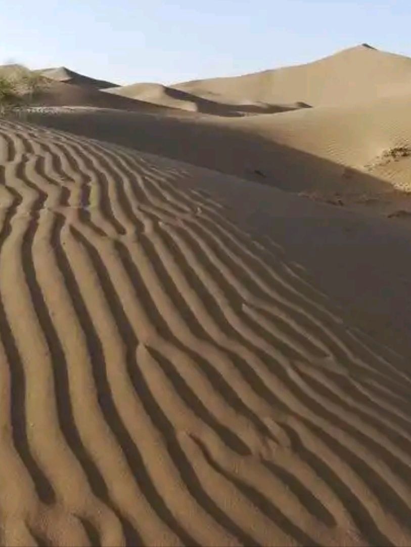 白沙山砂漠オフロード体験 | Trip.com Al Wadi Al Gadid Desert