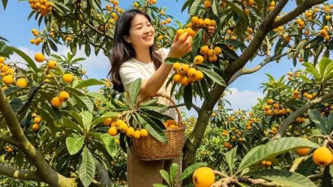 平湖水月湾｜嘉興の隣にある宝物の親子農場 — traveler post in 平湖