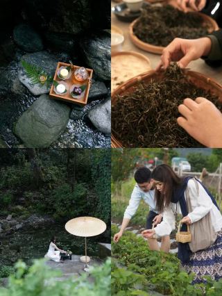 滇西でのんびり、洱海の夕日とキノコ狩り、藍染めでリラックス感満点