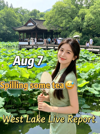 杭州人的小秘密!8月西湖超治癒荷景路線