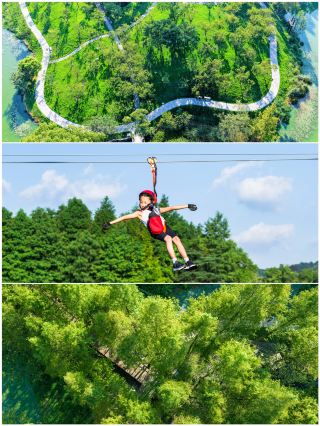 次に流行ること間違いなしの遊園地を大胆予想