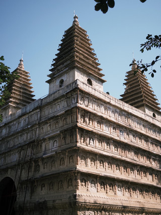 Ginkgo di Kuil Wuta Beijing Mulai Menguning! Waktunya Hunting Musim Gugur Tanpa Ribet Antre!
