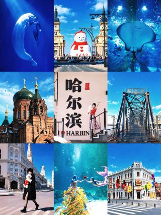 Harbin 3-Day 2-Night Ultimate Guide: Tested for an Efficient Route