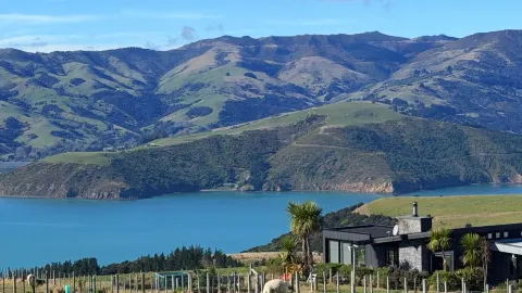 There's a place on New Zealand's South Island that can hold snow-capped mountains, bays, and a group of spitting, fluffy creatures all at once 🦙 — traveler post in Akaroa