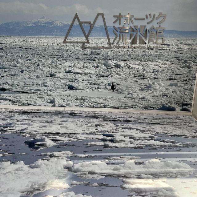 【北海道】本物の流氷を見て触れて楽しめる