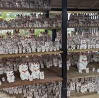 lucky cat temple 