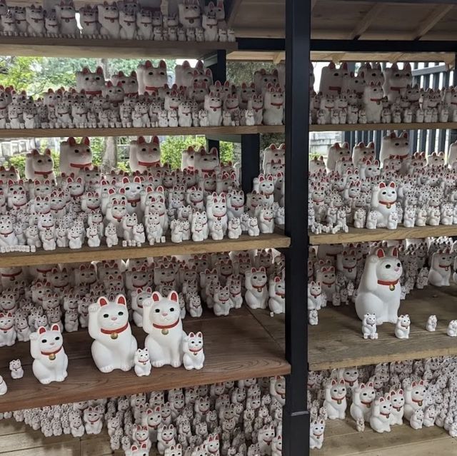 lucky cat temple 