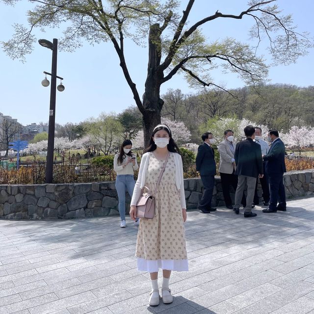 서울 꽃놀이는 북서울 꿈의 숲에서!