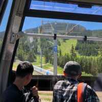 Amazing whistler peak to peak gondola