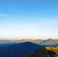 Survived Mt.Pulag 