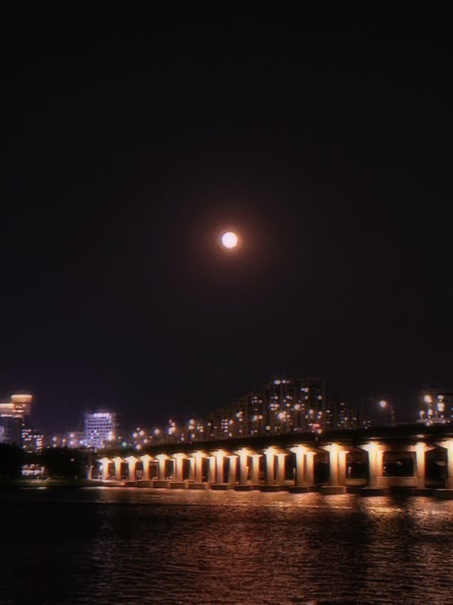 사람 없는 한적한 광나루 한강공원 💚