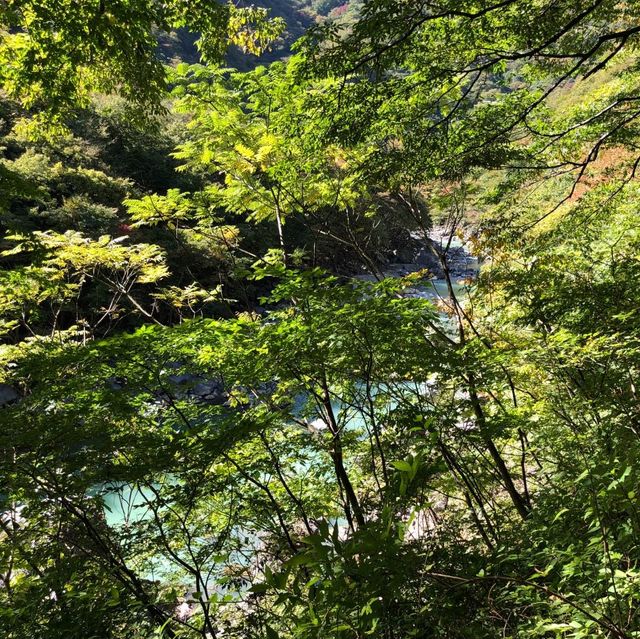 日光龍王峽