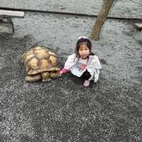 宜蘭、張美阿嬤農場